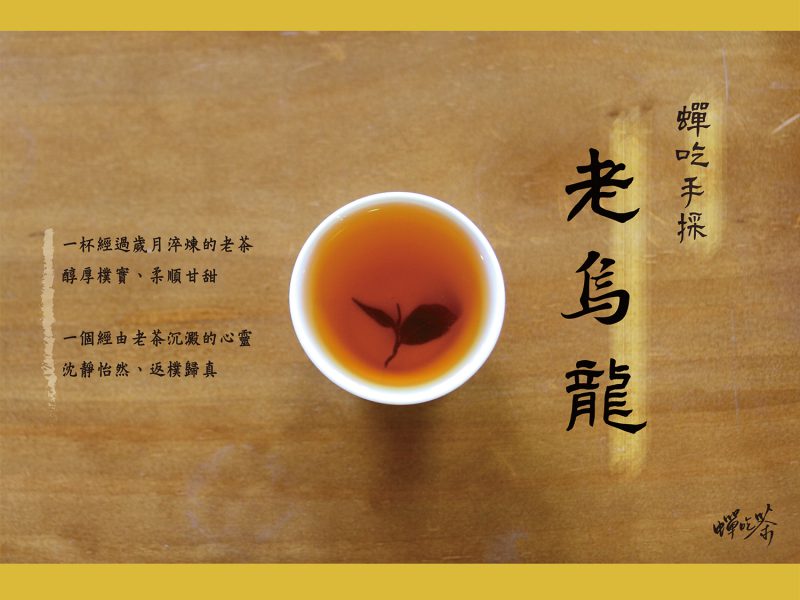 台灣老茶能加速體內環保工作，把體內多餘的油脂排除，維持身體的健康與美麗。 喝完老茶後不僅身體感受舒暢，心靈更從老茶生命的意境中獲得沉穩，當身心平衡之後，百病已不足為懼了！